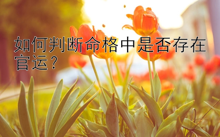 如何判断命格中是否存在官运？