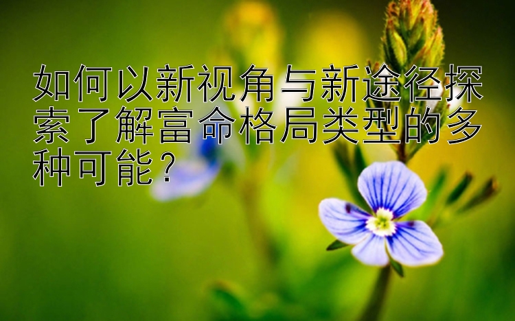 如何以新视角与新途径探索了解富命格局类型的多种可能？