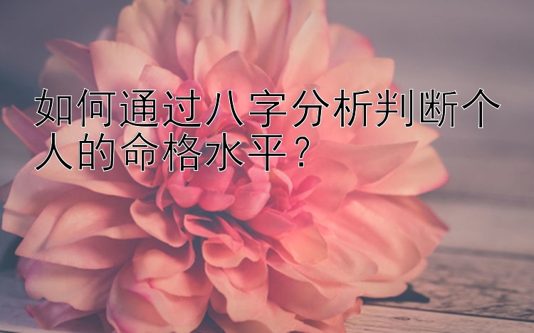 如何通过八字分析判断个人的命格水平？