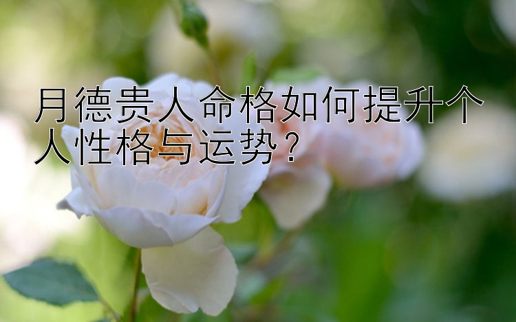 月德贵人命格如何提升个人性格与运势？