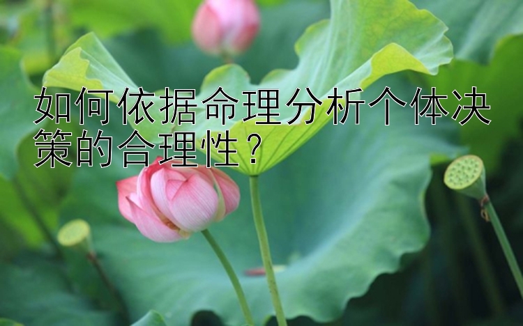 如何依据命理分析个体决策的合理性？