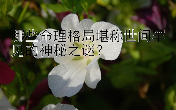 哪些命理格局堪称世间罕见的神秘之谜？