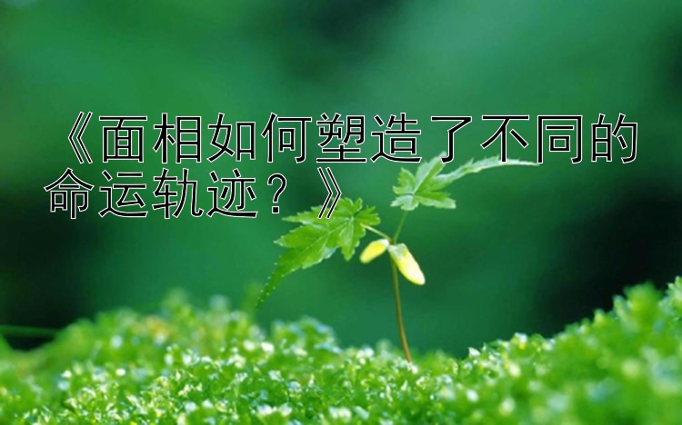 《面相如何塑造了不同的命运轨迹？》