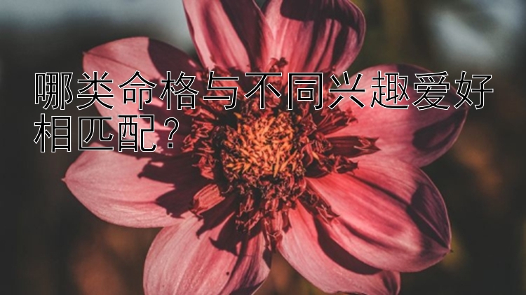 哪类命格与不同兴趣爱好相匹配？