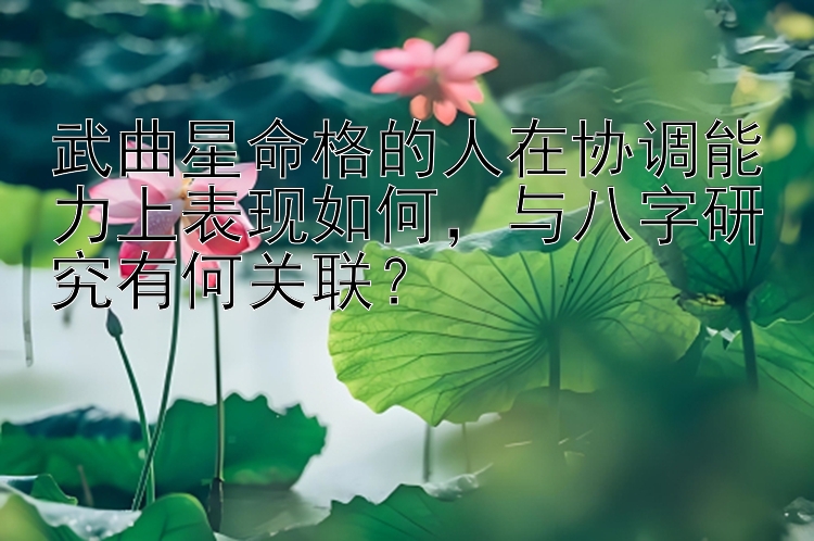 武曲星命格的人在协调能力上表现如何，与八字研究有何关联？