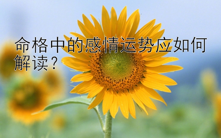 命格中的感情运势应如何解读？