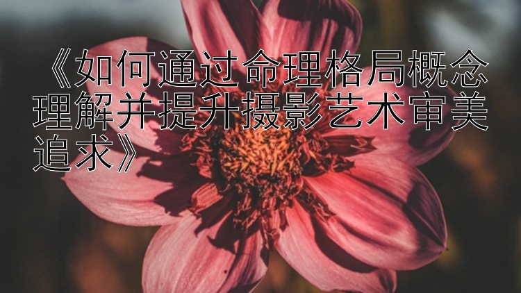 《如何通过命理格局概念理解并提升摄影艺术审美追求》