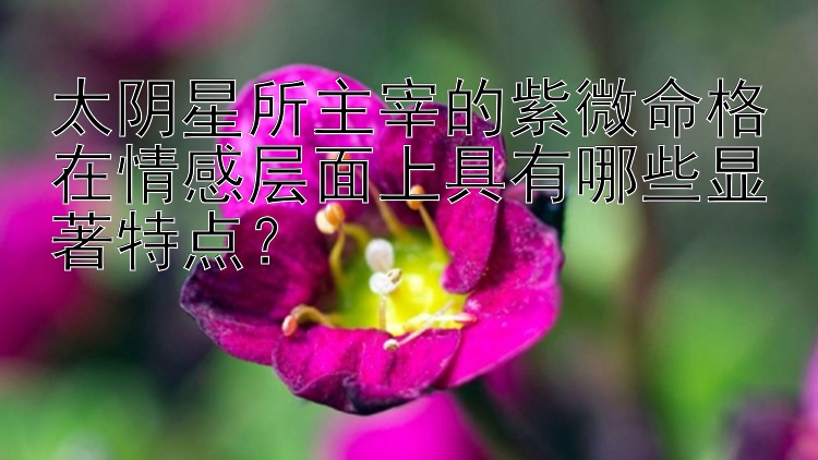 太阴星所主宰的紫微命格在情感层面上具有哪些显著特点？