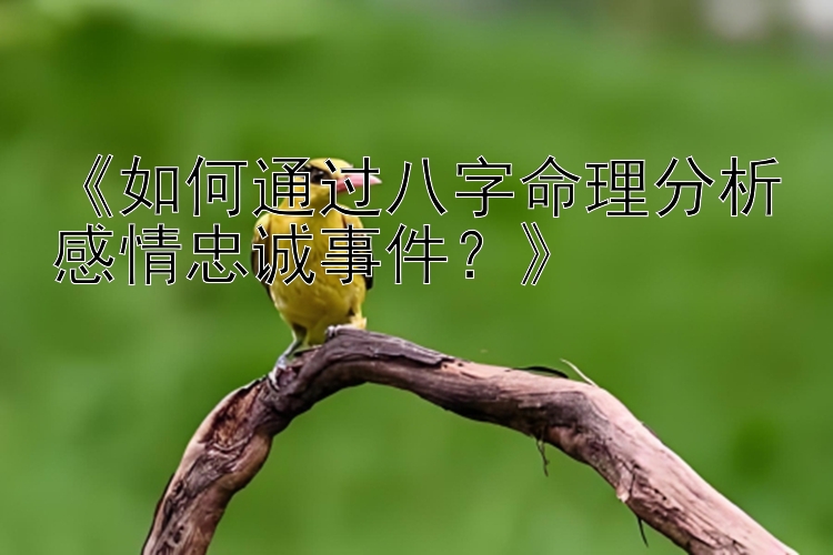 《如何通过八字命理分析感情忠诚事件？》