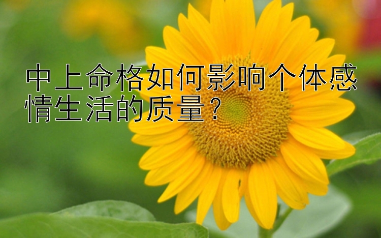 中上命格如何影响个体感情生活的质量？