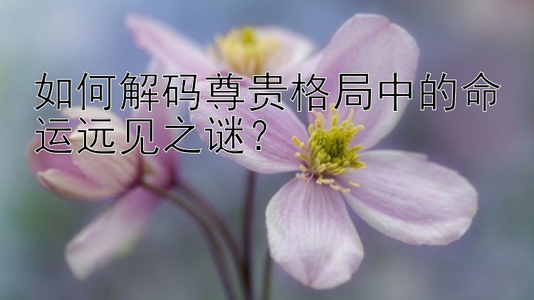 如何解码尊贵格局中的命运远见之谜？