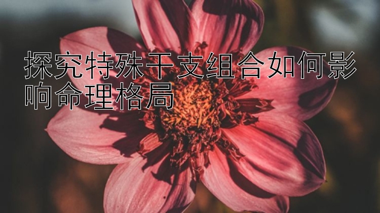 探究特殊干支组合如何影响命理格局