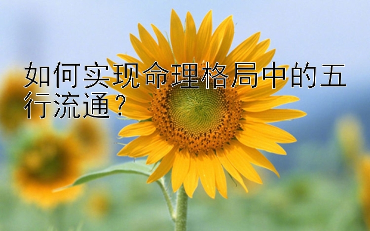 如何实现命理格局中的五行流通？