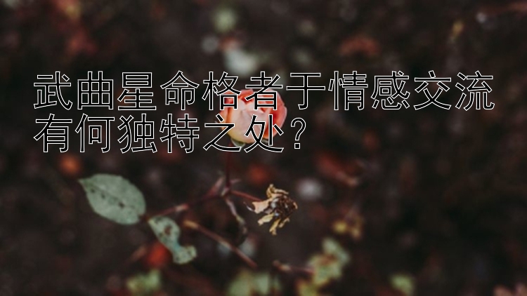 武曲星命格者于情感交流有何独特之处？