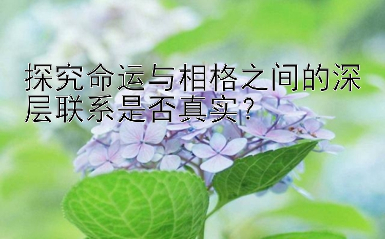 探究命运与相格之间的深层联系是否真实？