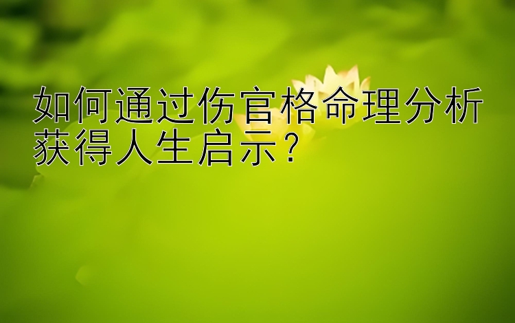 如何通过伤官格命理分析获得人生启示？