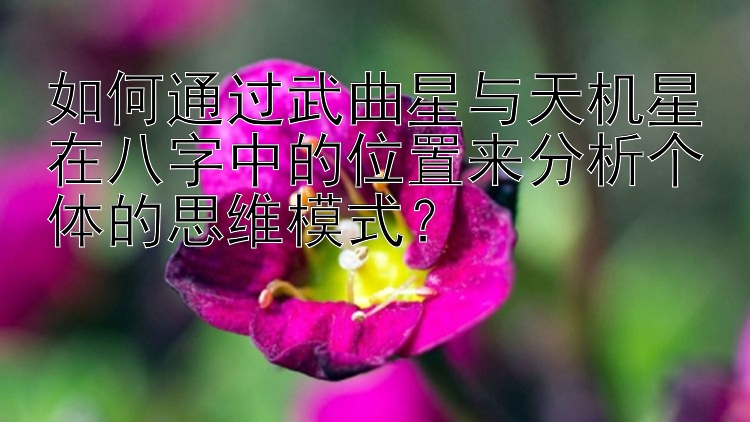 如何通过武曲星与天机星在八字中的位置来分析个体的思维模式？