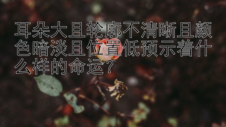 耳朵大且轮廓不清晰且颜色暗淡且位置低预示着什么样的命运？