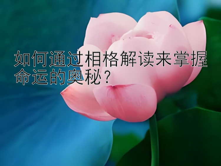 如何通过相格解读来掌握命运的奥秘？