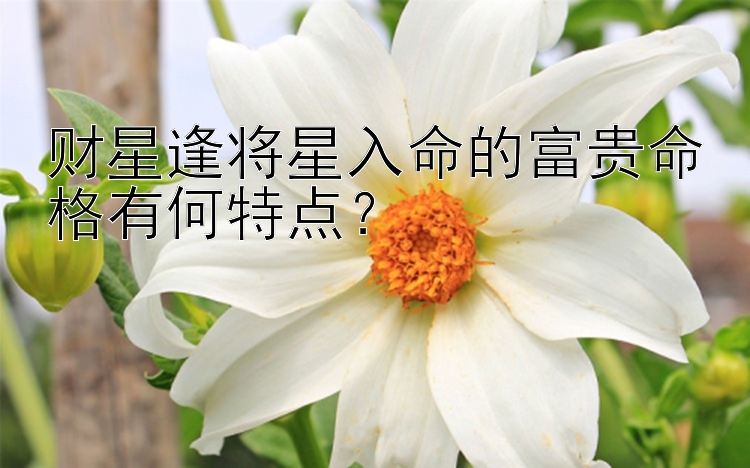 财星逢将星入命的富贵命格有何特点？