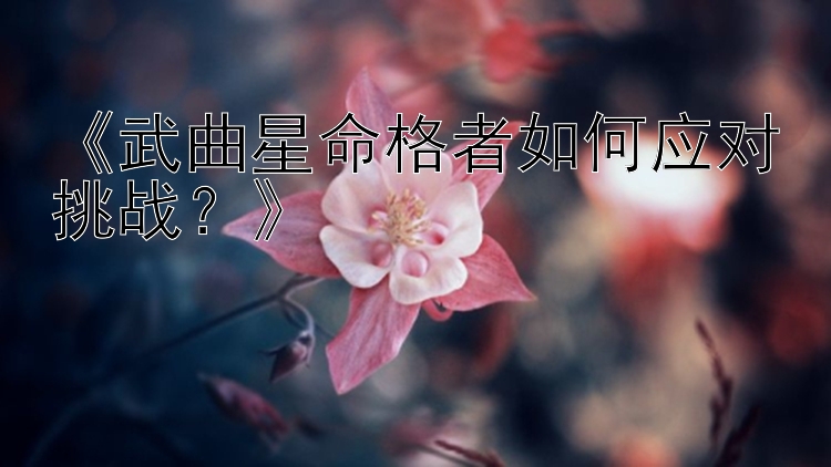 《武曲星命格者如何应对挑战？》