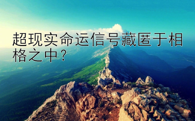 超现实命运信号藏匿于相格之中？