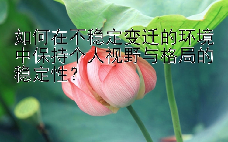 如何在不稳定变迁的环境中保持个人视野与格局的稳定性？