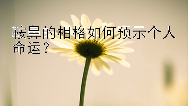 鞍鼻的相格如何预示个人命运？