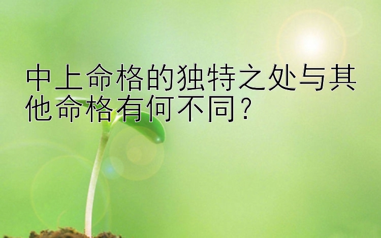 中上命格的独特之处与其他命格有何不同？