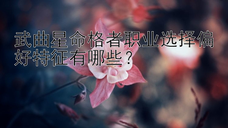 武曲星命格者职业选择偏好特征有哪些？