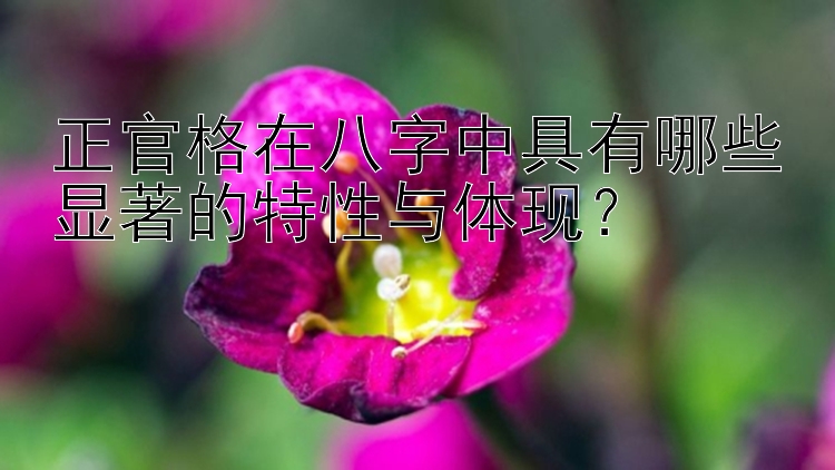 正官格在八字中具有哪些显著的特性与体现？