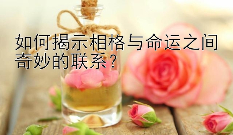 如何揭示相格与命运之间奇妙的联系？