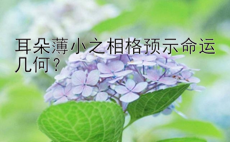 耳朵薄小之相格预示命运几何？