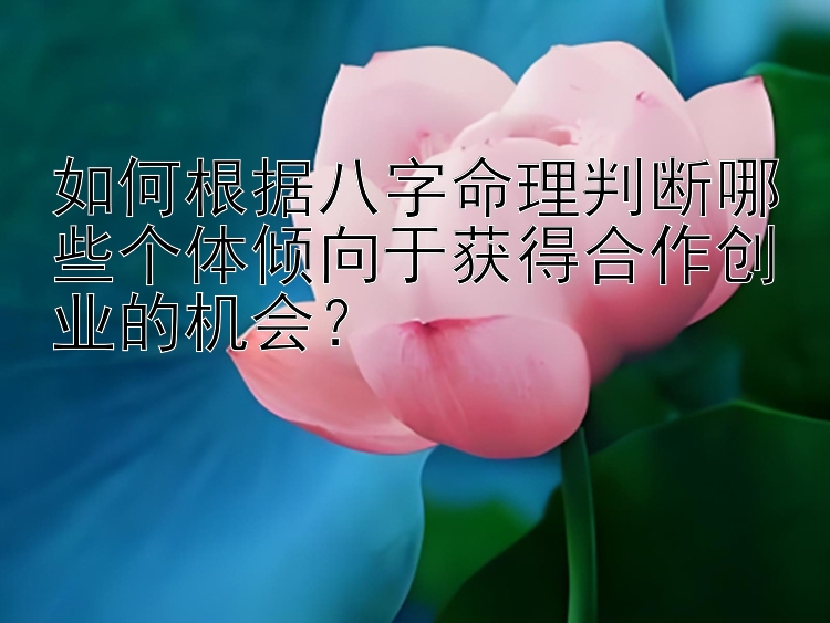 如何根据八字命理判断哪些个体倾向于获得合作创业的机会？