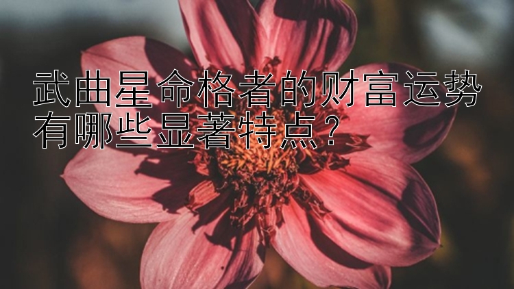 武曲星命格者的财富运势有哪些显著特点？