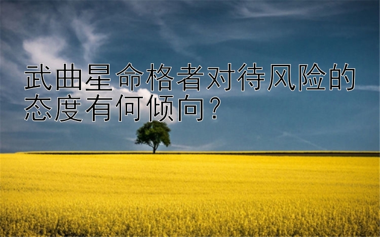 武曲星命格者对待风险的态度有何倾向？