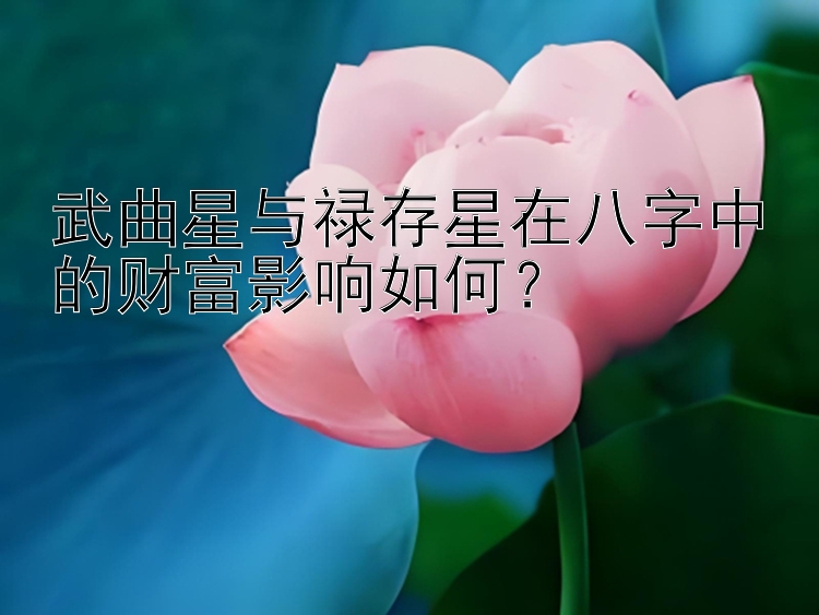 武曲星与禄存星在八字中的财富影响如何？