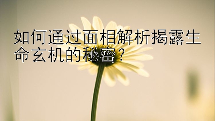 如何通过面相解析揭露生命玄机的秘密？