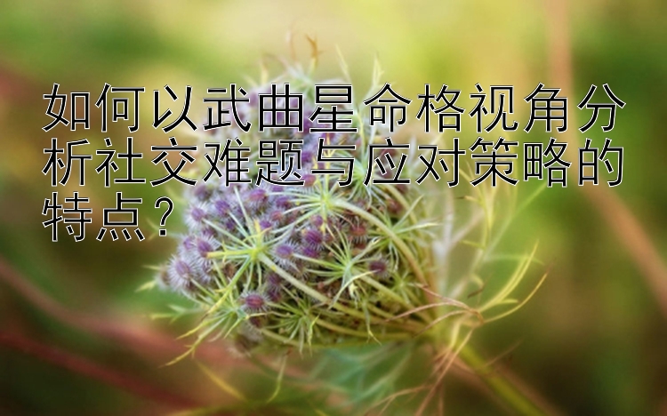 如何以武曲星命格视角分析社交难题与应对策略的特点？