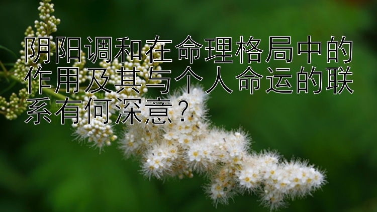 阴阳调和在命理格局中的作用及其与个人命运的联系有何深意？