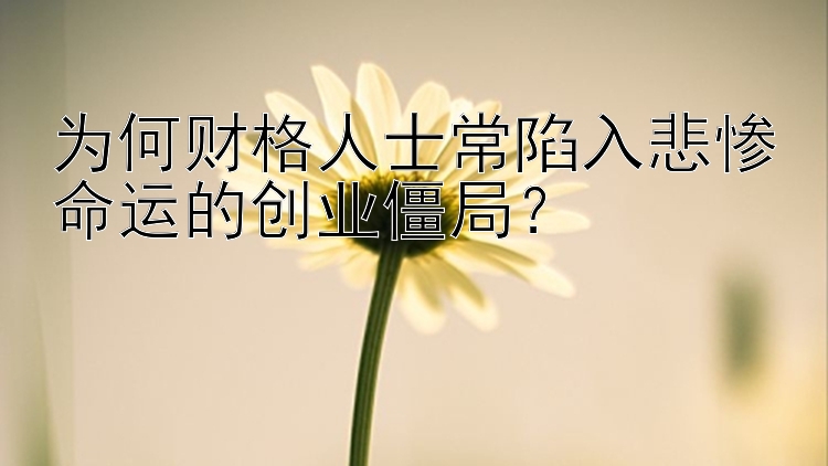 为何财格人士常陷入悲惨命运的创业僵局？