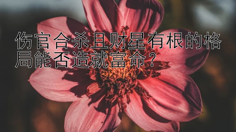 伤官合杀且财星有根的格局能否造就富命？