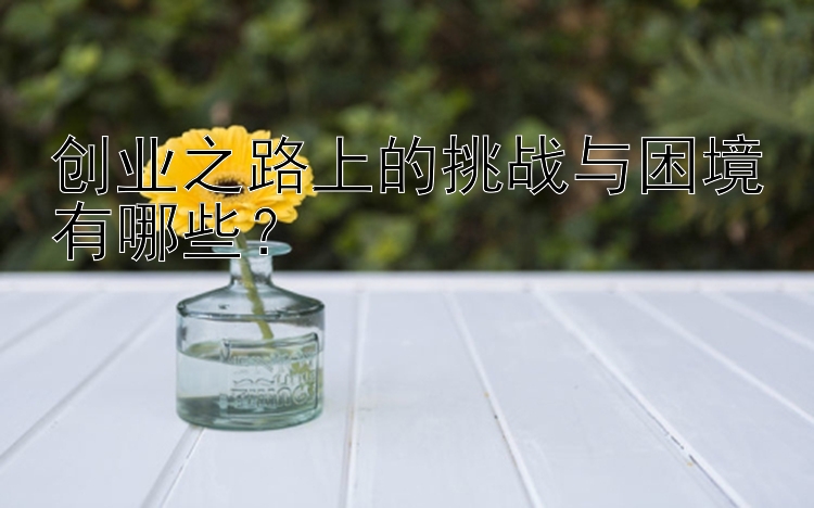 创业之路上的挑战与困境有哪些？