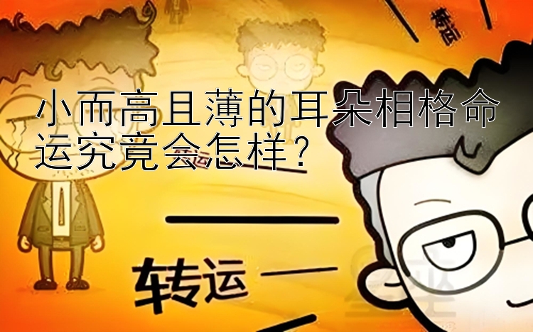 小而高且薄的耳朵相格命运究竟会怎样？