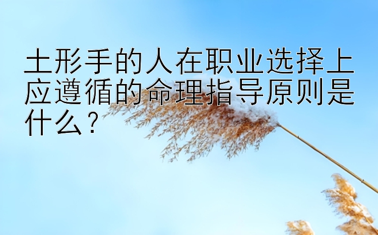 土形手的人在职业选择上应遵循的命理指导原则是什么？