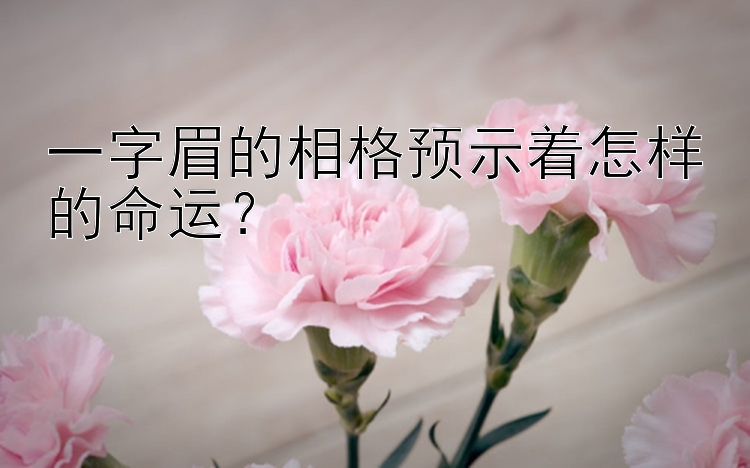 一字眉的相格预示着怎样的命运？